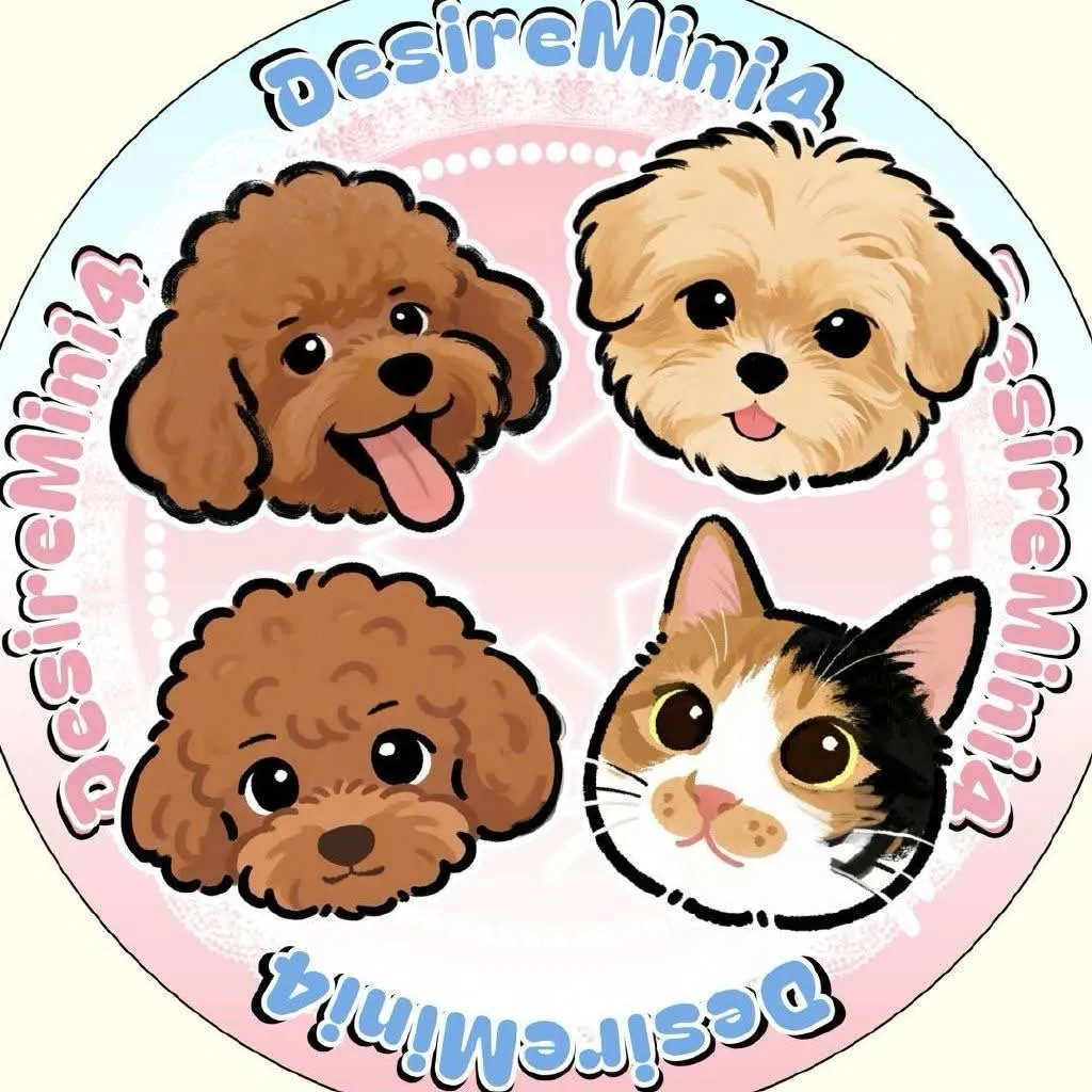 DesireMini4 Members Profile缩略图