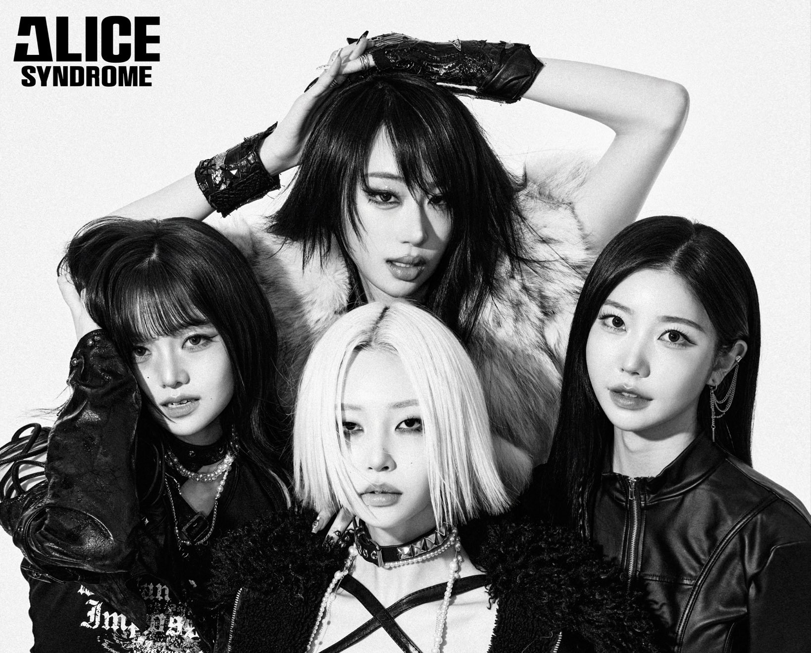 Alice Syndrome Members Profile缩略图