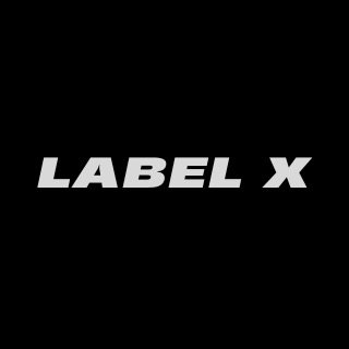Label X Girl Group Members Profile缩略图